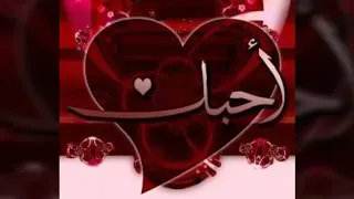 عمرو دياب حبيبى يا مالك قلبي للهوي 