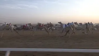 ش7 بكار مفاريد 1446 12 27هـ 2025 06 23م توثيق محمد عبدالسلام مسعد الخضري العطوي 