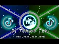 Download Lagu (/=[]Dj Tehiba Tehi x Pak Cepak Cepak Jeder Viral TikTok[]=\\)