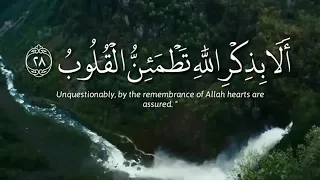 ال ذ ين آم ن وا و ت ط م ئ ن ق ل وب ه م ب ذ ك ر الل ه منصور السالمي حالات واتس 