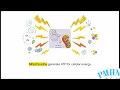 PC705 Advanced Pathophysiology Module 1 Chapter 1 The Cell Structures