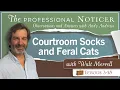 Courtroom Socks and Feral Cats with Walt Merrell