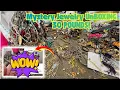 Mystery Goodwill JEWELRY UNBOXING 30 POUNDS For 250 ONE Piece Pays For The WHOLE BOX