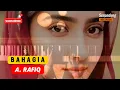 Bahagia || A. Rafiq