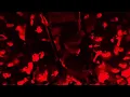 Lorde - Shapeshifter (Visualiser)