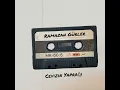 Yüce Dağ Başında Üzüm Kol Atmış
