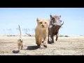 The Lion King 2019 - Hakuna Matata Music Video I 4K Ultra HD