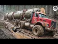 Download Lagu Extreme Dangerous Big Logging Wood Truck Driving Skill | Fastest Chainsaw Cutting Tree Machines #3
