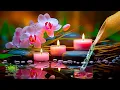 Download Lagu Healing Sleep Music -Menghilangkan Stres, Melepaskan Melatonin dan Racun, Musik Zen yang Menenangkan