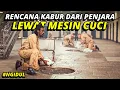 Lagu IRONIS BANGET❗NAPI DENGAN HUKUMAN SEUMUR HIDUP YANG INGIN MENEMUI PUTRINYA