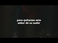 Elefante - Así Es la Vida | Letra