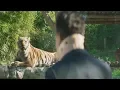 Mr  Zoo : The Missing VIP, Tiger Sing Kim Jong Kook Song Scene in The Zoo