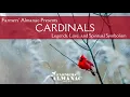 Cardinal Legends Lore and Spiritual Symbolism