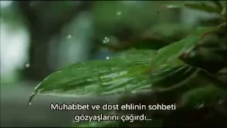 انشوده يا اخوتي ماذا نقول بدون ايقاع 