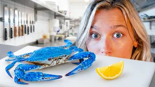 I Turned a Restaurant Crab into a Pet...