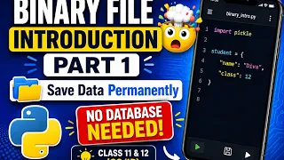 Binary File Introduction in Python Part 1 Class 12 IP CS Save Data Permanently Using Python