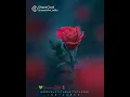 Love PainπYen inta Sabangal naan paavam illaiyaπ Vizhiyile en Vizhiyile kanavugal Kalainthathe...π₯ππ