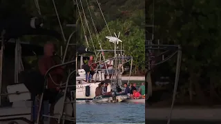 Our Neighbor Put On a Concert From His Sailboat ⛵🎶