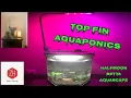 How To Top Fin Aquaponics Top Fin Prosper Betta Aquascape 2 Gallon Nano