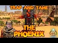 How to TRAP TAME the Phoenix Ark Survival Ascended