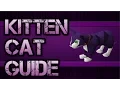 OSRS Kitten Cat Guide