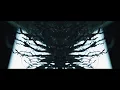 Big Wild - Ascension - (Official Video)