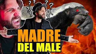 Il rancore di mamma TASSO DEL MIELE - SCIENZA BRUTTA