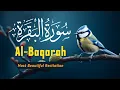 Download Lagu سورة البقرة الشيخ عبد الباسط عبد الصمد القران الكريم Surat Al-Baqarah Beautiful Quran Recitation
