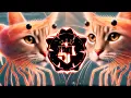 Download Lagu Tripi tropi Tropa Funk (slowed + reverb)//#phonk #funk #fyou