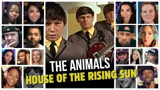 the animals house of the rising sun reaction compilation