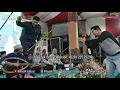 Download Lagu Yil Muhibbin - Balasyik Live Pendopo Situbondo