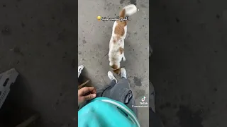 ونبي لتجيب جنيه دندنها