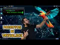 ParrotOS Latest - Download and Installation