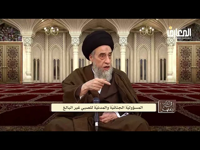 يتضارب الأطفال فيما بينهم فهل عليهم ديات ؟ - السيد صباح شبر