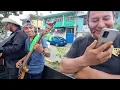 CABALGATA - TULTITLAN - Visitantes del Norte
