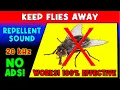 Download Lagu ANTI FLIES REPELLENT SOUND ⛔🦟 KEEP FLIES AWAY - ULTRASONIC SOUND