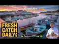 Download Lagu Summer 2024 | Cảng Cá Cửa Việt | Cua Viet Fishing Port | Kids Song Ngữ