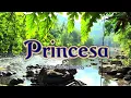 PRINCESA - (Karaoke Version) - in the style of Apo Hiking Society