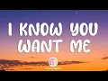 Download Lagu Pitbull - I Know You Want Me  (Letra / Lyrics)