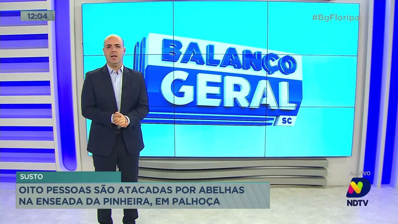 Oito pessoas são atacadas por abelhas na Enseada da Pinheira, em Palhoça