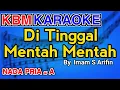 Download Lagu DITINGGAL MENTAH MENTAH - Imam S Arifin |KARAOKE HD