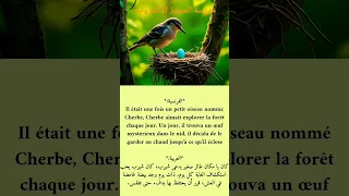 تعلم اللغة الفرنسية من خلال مطالعة قصص قصيرة بالفرنسية 