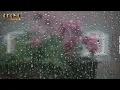 جنات آخر احزاني ابداع