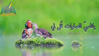 قل لي لماذا لاتصلي دندنها