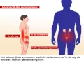 Download Lagu Nierstenen - Symptomen en behandeling