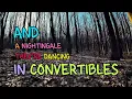 Nothing Matters by The Last Dinner Party - Lyrics