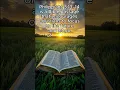 Philippians 3 13-14