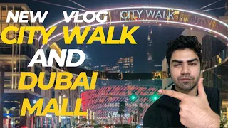 New Vlog mere piyary subscribers k liye