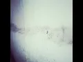 Polaris