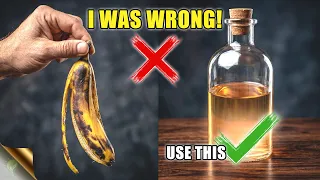 Stop Using Banana Water on Your Plants! (Here's Why)